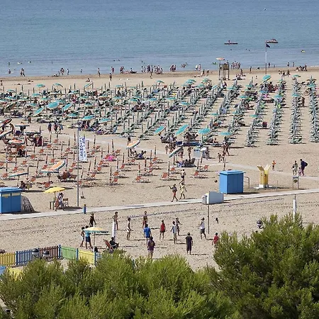Bel Sole - *
